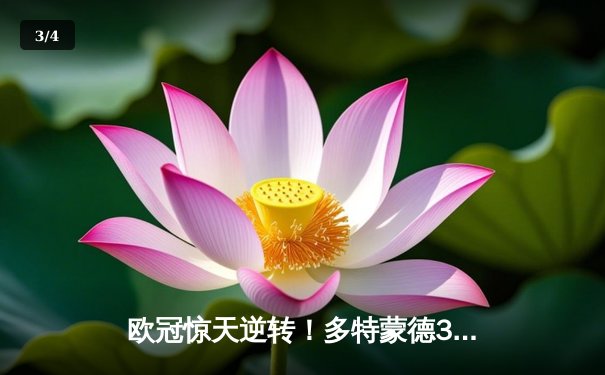 欧冠惊天逆转！多特蒙德3-2绝杀巴黎，哈兰德独中两元创纪录 - 3