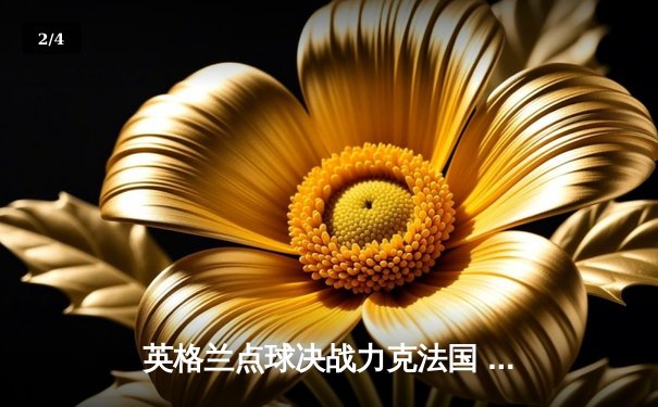 英格兰点球决战力克法国 时隔56年再夺欧洲杯冠军 - 2